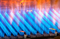 Medlyn gas fired boilers
